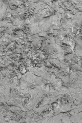 Grey Stone Texture or Background in monochrome. Black and White background.