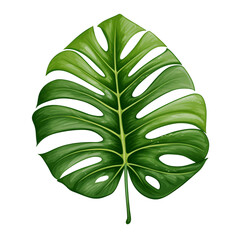 Leaves Clipart, Leaves Png, Leaf Clipart png