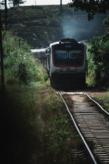 Train moving through lush green landscape in sri lanka