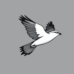 Obraz premium Gray-Dominant Stylized Bird Vector – Elegant Hawk in Flight with White and Black Accents