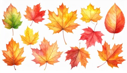 Fototapeta premium Watercolor Autumn Leaves On White Background