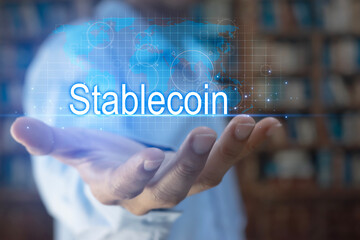 The concept of using stablecoins in the financial system