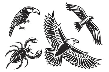 Obraz premium Monochrome illustrations of a toucan, eagles, and a scorpion