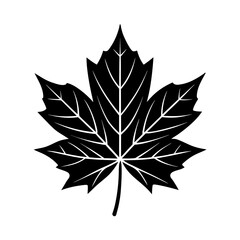 Obraz premium Maple leaf clipart on white background vector illustration