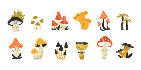 Colorful Autumn Mushrooms Set with Fly Agaric Toadstools in Flat Style for Fall Forest Nature Illustrations