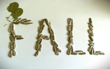 The word FALL is artistically spelled out using sunflower seeds on a white surface.