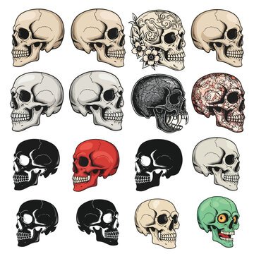 Vector Skull Set &ndash; Side View Human Skulls in Realistic, Tattoo, Grunge, and Cartoon Styles