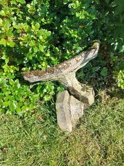 old stone bird bath