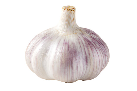 Close up of a single bulb of garlic on a black background.