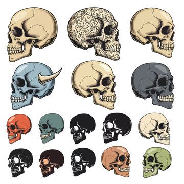 Vector Skulls Pack &ndash; Profile View in Hand-Drawn, Cartoon, and Grunge Styles