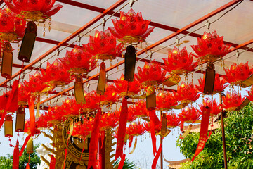Radiant Red Lotus Lanterns Hanging in a Buddhist Temple Courtyard, Vietnam