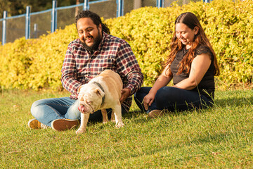 Man and woman walking their bulldog on green grass. A joyful couple shares a sunny park moment with...