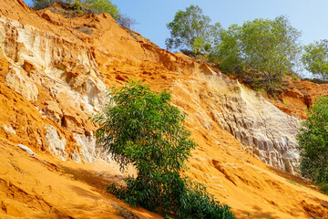 Colorful Sandstone Layers and Vegetation in Ham Tien Canyon, Vietnam on a Bright Sunny Day