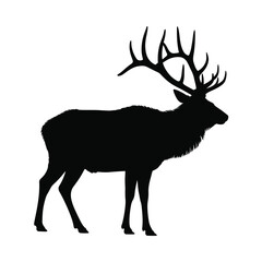 Majestic Elk Silhouette Standing Tall Against a White Background