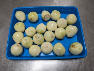 Peeled pearl onions arranged in a blue plastic tray, ready for cooking or processing.