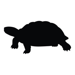 A black silhouette of a turtle isolated on white background shows a slowmoving reptile