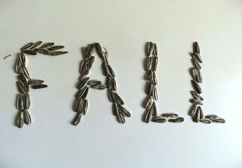 Seasonal display of the word FALL is artistically spelled out using sunflower seeds on a white...