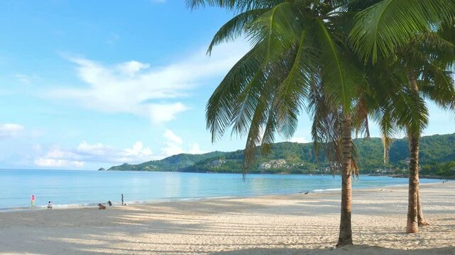 Palm trees frame a serene tropical beach on a sunny day