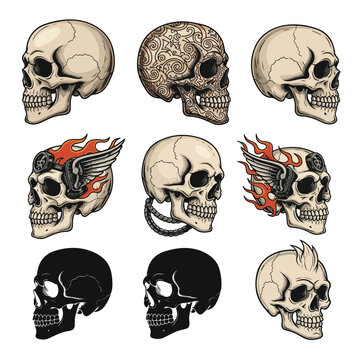 Skull Side View Vector Set &ndash; Vintage, Colorful, and Engraved Design