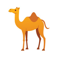 realistic-camel-illustration-vector-on-white-backg.eps