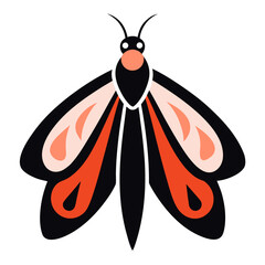 butterfly vector illustration