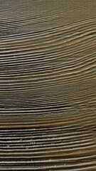 Close-up photo of a raw tree slice with visible growth rings and organic wood texture. Perfect natural background with warm earthy tones and rough natural imperfections for rustic designs, product pac