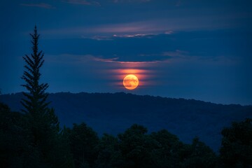Serene Sunset: Orange Moon Rising Over Silhouetted Mountain Ridge and Evergreen Tree