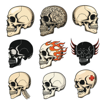 Profile Skull Vector Icons &ndash; Realistic, Day of the Dead, and Dark Styles