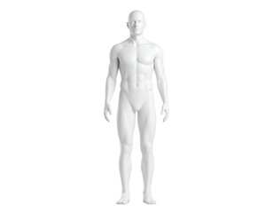 A digitally rendered male human body in a neutral stance offers a clean and adaptable visual resource.