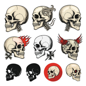 Editable Skull Vector Illustrations &ndash; Side Facing Realistic and Stylized Version
