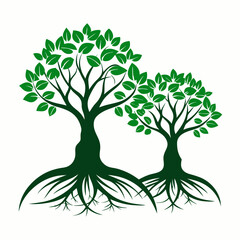 Fototapeta premium tree with roots