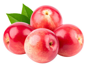 Vibrant ripe nectarines with fresh green leaves showcase their juicy sweetness and natural beauty.