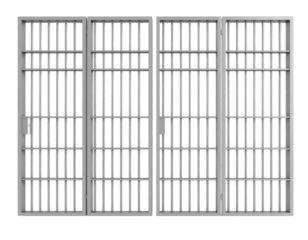 Heavy metal bars stand as a formidable barrier, symbolizing confinement, security, and restricted access.