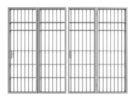 Heavy metal bars stand as a formidable barrier, symbolizing confinement, security, and restricted access.