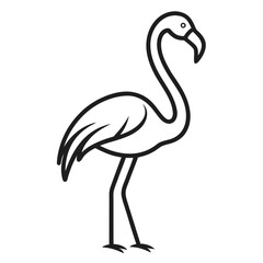 flamingo vector illustration