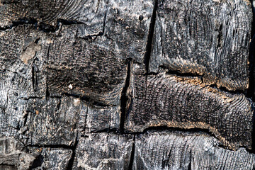 Wood abstract texture. Surface grunge backdrop. Dirty wooden effect pattern. Material background.