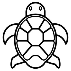 Obraz premium turtle