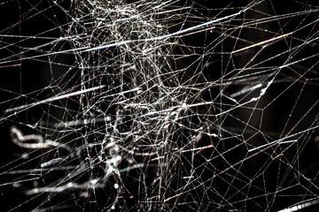 This stock photo showcases a intricately woven spider web glistening in the sunlight. The delicate threads of the web form a captivating pattern, while dewdrops shimmer.