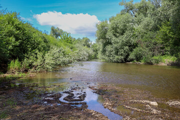 The river slowly flows past the bank, where intricate patterns have formed on the sand and stones....