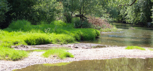A steep riverbank, overgrown with bright green grass, contrasts with the shallow water and clear...