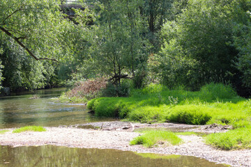 Dense thickets of grass and trees frame a tranquil river, where shallow waters reveal a sandy...
