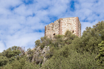 Medieval stone tower emerging from lush green foliage under a cloudy blue sky