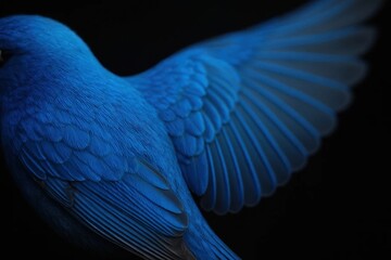 Obraz premium A Bluebird in Repose