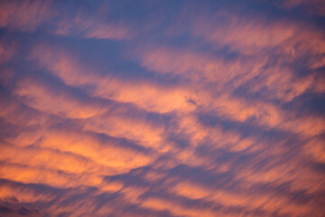 purple sky in summer, amazing colors