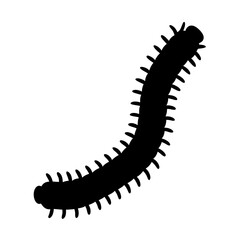 Silhouette of a Centipede with Numerous Legs and Segmented Body