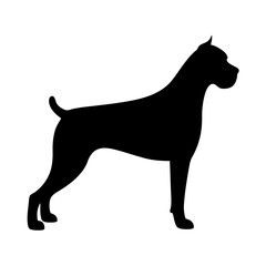 Black silhouette of a Cane Corso dog standing in perfect profile
