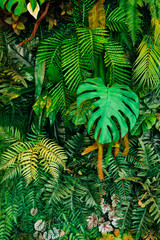Close up group of background tropical green leaves texture and abstract background. Tropical leaf nature concept.