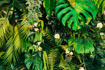Close up group of background tropical green leaves texture and abstract background. Tropical leaf nature concept.