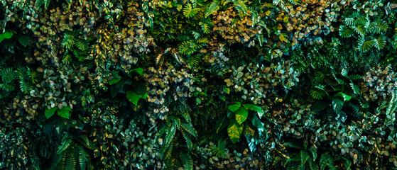 Close up group of background tropical green leaves texture and abstract background. Tropical leaf nature concept.