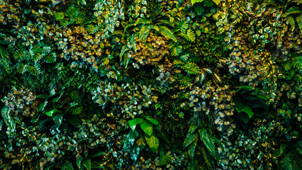 Close up group of background tropical green leaves texture and abstract background. Tropical leaf...